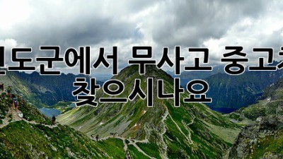 진도군에서 무사고 중고차 찾으시나요? 🚗