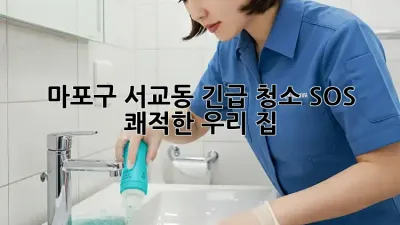 🚨 마포구 서교동 긴급 청소 SOS! 쾌적한 우리 집 🏡